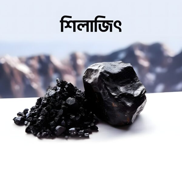শিলাজিৎ ( ১০০ গ্রাম)